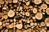 Drewno opałowe z dowozem tanio!