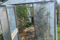 Szklarnia, folia, stelaż