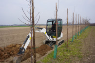 Usługi Minikoparką