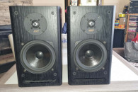 Wybitne kolumny monitory ASW Cantius ML II MK2